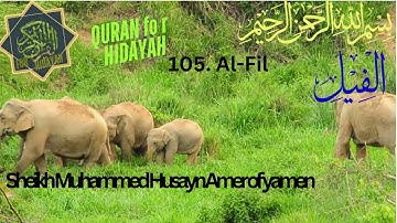 QURAN Chapter 105 | Surah ١٠٥ قران سورة الفيل (Al-Fil) – The Elephant