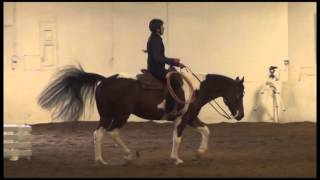 2016 WAHSET Pattern for Working Rancher