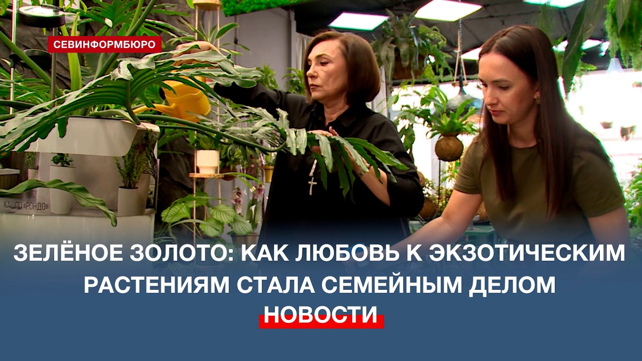 На ПОРе открыт магазин, в котором подберут растения индивидуально под человека