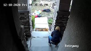 Porch Pirate 18 DEC 2020