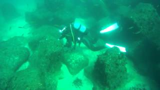 天草下田小田床20151017-16