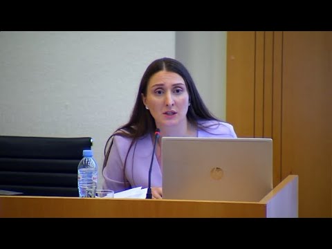 „დისტანციური სწავლება“ და „ექსპორტის ხელშეწყობის“ ანგარიშები პარლამენტში