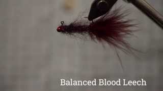 Balanced Blood Leech