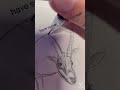 Drawing my subs fav animalsp2viral drawing youtubeshorts art