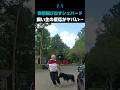 暴走シェパード飼い主の言い訳が衝撃