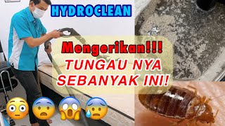 Membersihkan Tungau Kasur Dengan Jasa Hydroclean Indonesia - Jasa Sedot Tungau