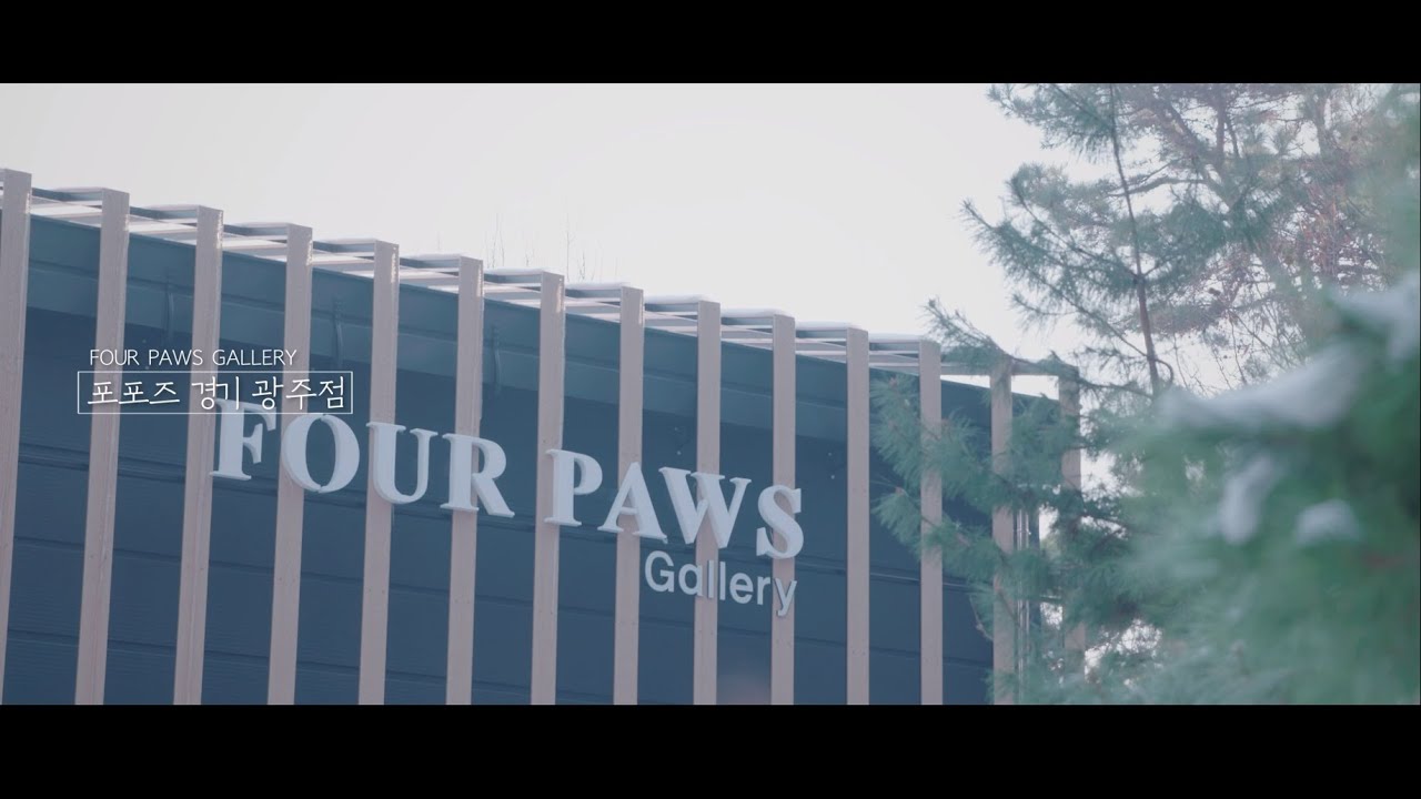 포포즈 경기 광주점 OPEN Gallery 포포즈 (Four Paws) YouTube