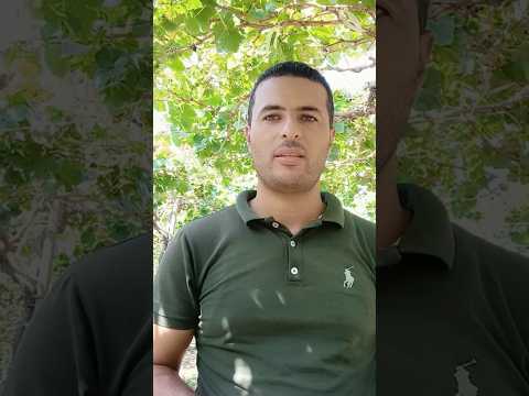 اهم العمليات الزراعية لمحصول العنب فترة ما بعد الحصاد