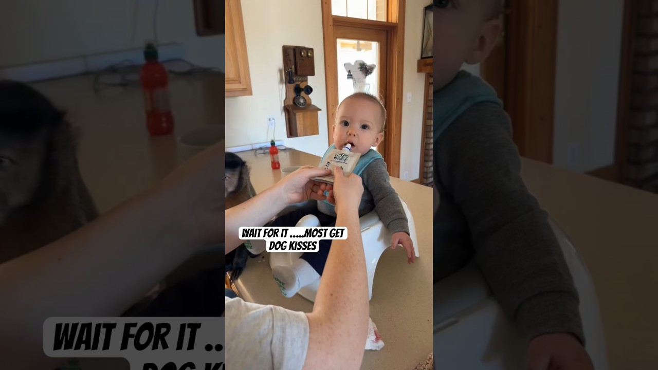 clean up crew on isle baby 