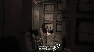 ശവപ്പെട്ടി കൂമ്പാരം ഭയപ്പെടുത്തുന്ന നേർക്കാഴ്ച #cemetery #ശവക്കോട്ട #സ്മശാനം #horror #Bikkustanley