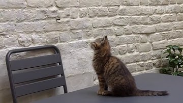 Ultimate Parkour Fails Compilation Part 2 by FailArmy    