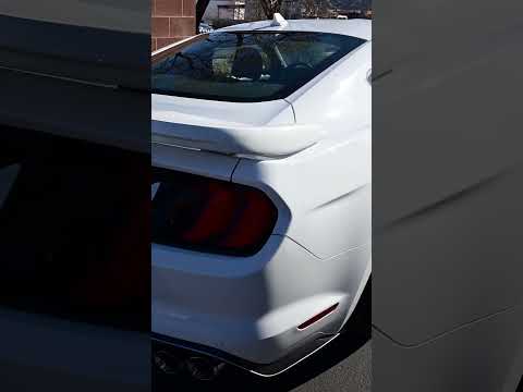 Saleen Ford Mustang S302 White with Blue Stripes Nikon Z6 iii & Nikkor 20mm