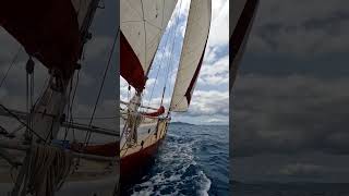 Lowana Under Sail