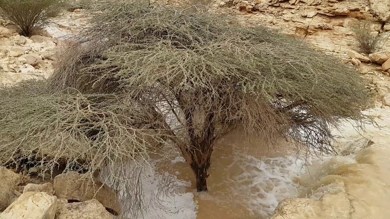 سيول محافظة الحريق ونعام والمفيجر من ١٤٤٠/٨/٢ الى١٤٤٠/٨/٨ الموافق   ٧_٨_٩_١٠_١١_١٣/ابريل/٢٠١٩