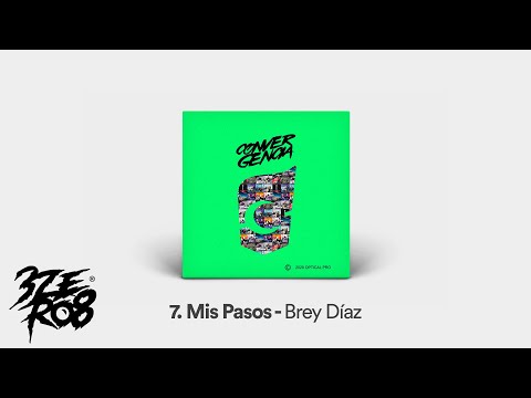 7. Mis Pasos - Brey Diaz [Visualizer]