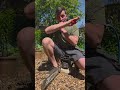 #chainsaw #beatbox #arborist
