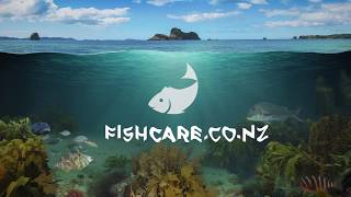 The 5 Principles of Fishcare - The school of best practice
