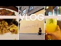 WEEKLY VLOG | RANDOM CONVOS + ERRANDS + SHOPPING + TAKING IG PHOTOS + DECLUTTERING | Andrea Renee