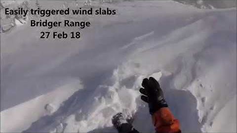 Easily triggered wind slabs in Bridger Range - 27 Feb 18