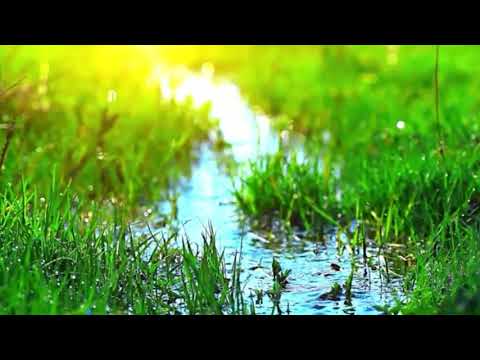 ዘማሪት ሊሊ ጥላሁን ያላንተ ኑሮ አይሆንልኝም Lili Tilahun