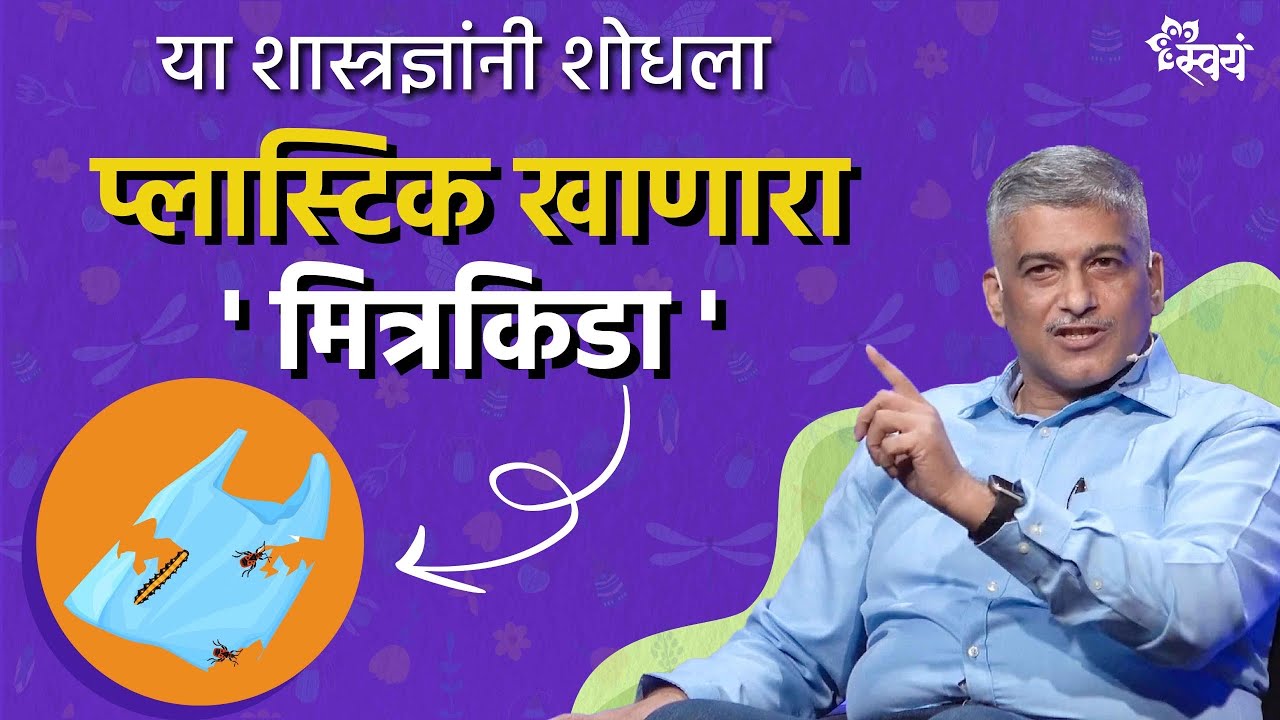 INSECTS AROUND US - simplified || Dr Rahul Marathe