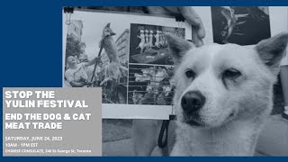 Stop the Yulin Festival &amp; End the dog &amp; cat meat trade