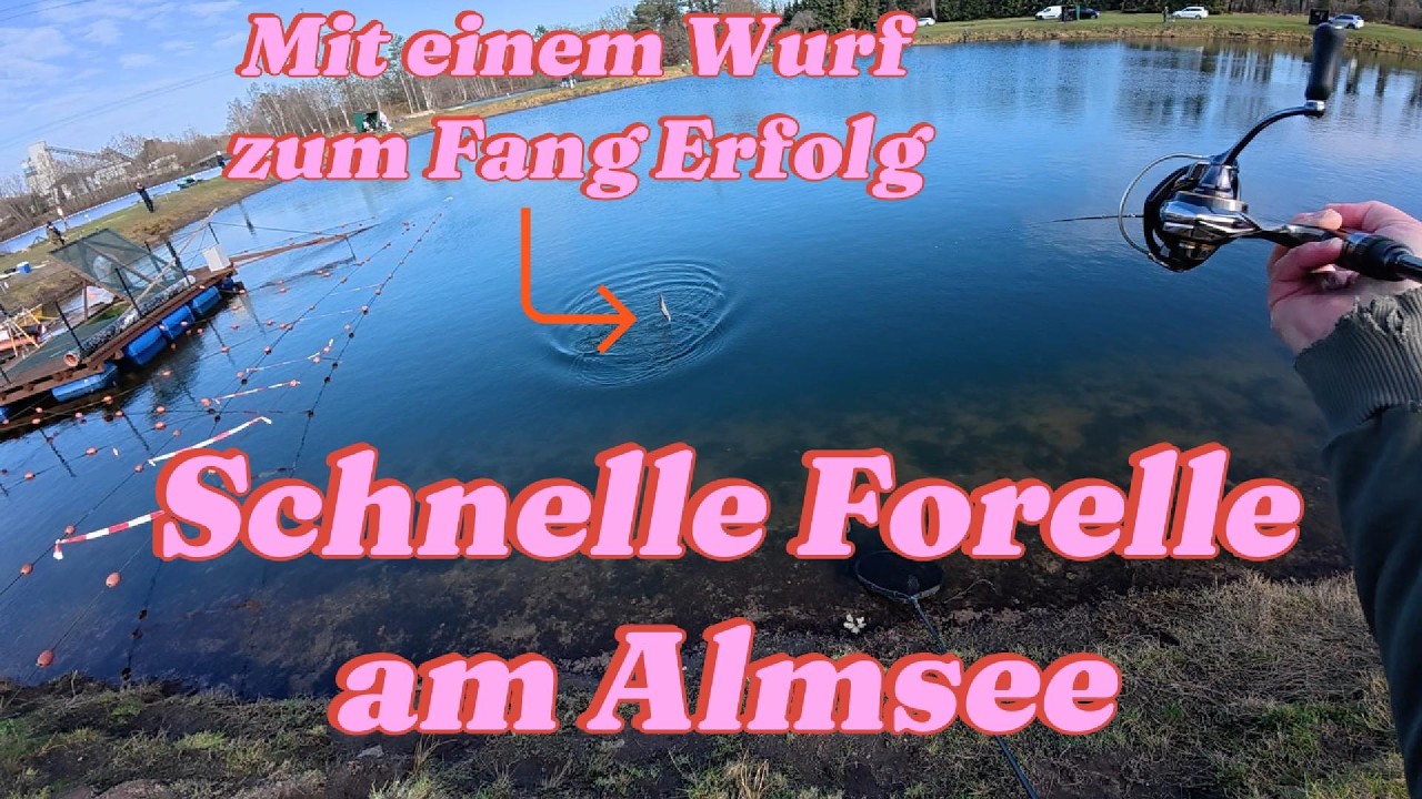 Angelteich Almsee mit Spoon zum Fang Erfolg, Forellenangeln im März! #ulangeln #forelle