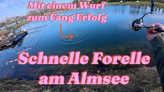 Angelteich Almsee mit Spoon zum Fang Erfolg, Forellenangeln im März! #ulangeln #forelle