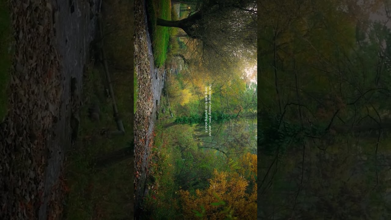 She will never know, how much I loved her! 🥀❤️‍🩹 