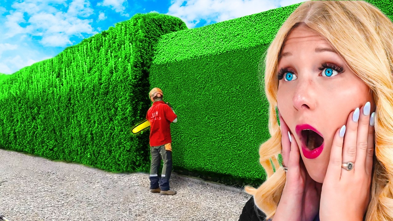 Worlds Most Satisfying Videos!