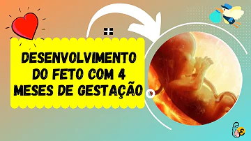 Como saber se o bebê está bem na barriga com 4 meses?
