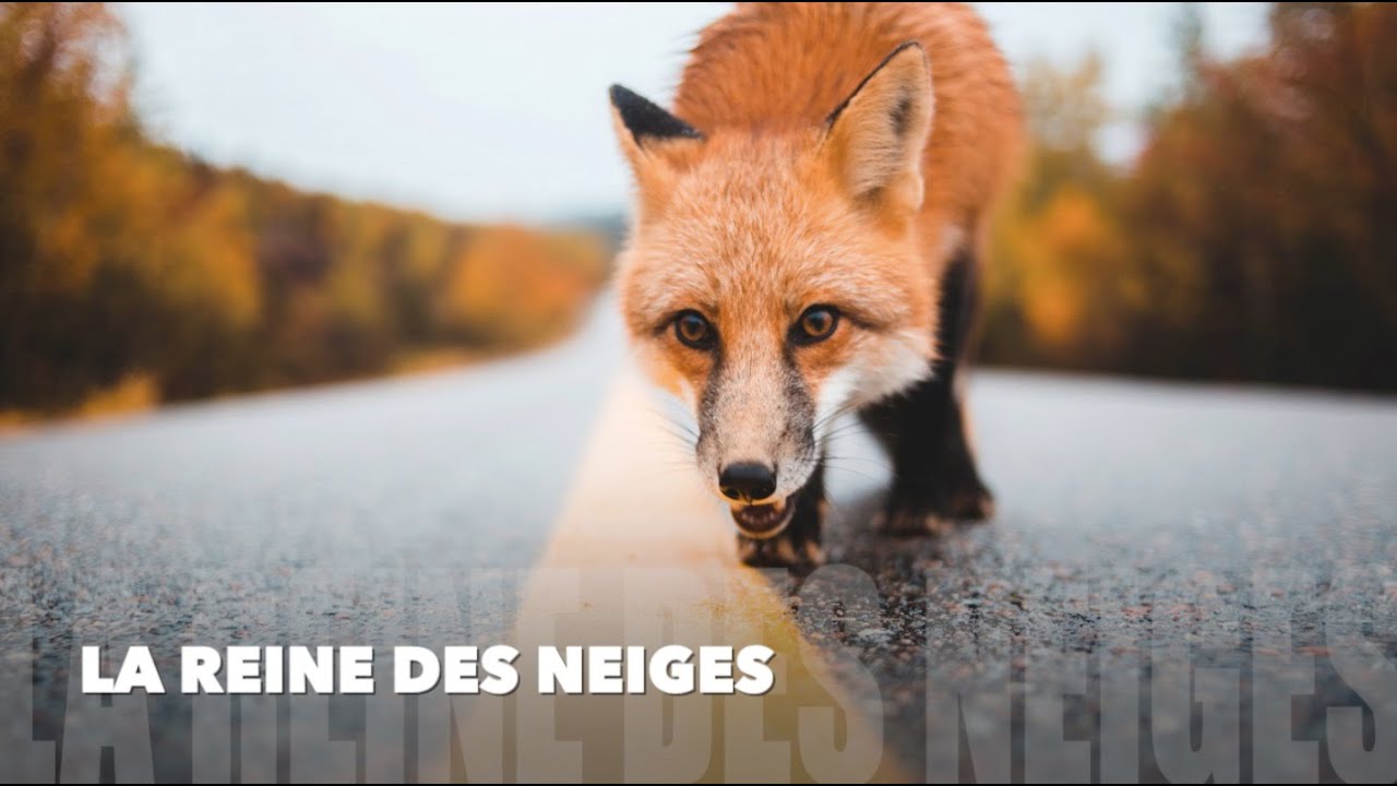 La Reine des Neiges - Vaéra