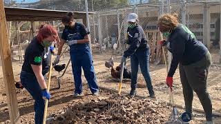AmeriCorps Week 2021: 4H Grows Here