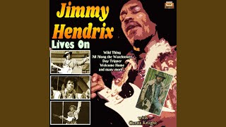 Video thumbnail of "Jimi Hendrix - Day Tripper"