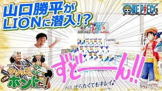 山口勝平、LIONへ潜入！？ウソップの、これはホントだ！ルックプラス体験編