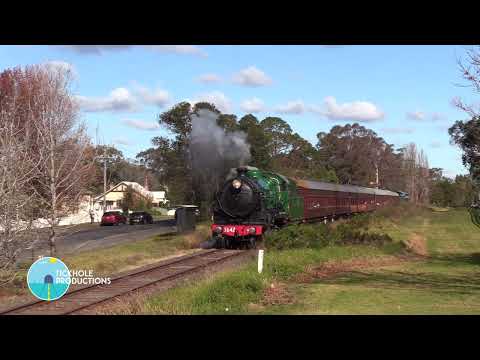 Steam Locomotives 3526,