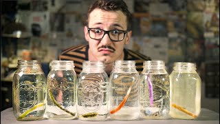 I  Left Plastic Fishing Lures in Water for 30 days!