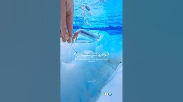 عيناً فيها تسمى سلسبيلا || محمد اللحيدان 😍#قران#قرآن#قرآن_كريم #تلاوة_خاشعة #quran #محمد_اللحيدان