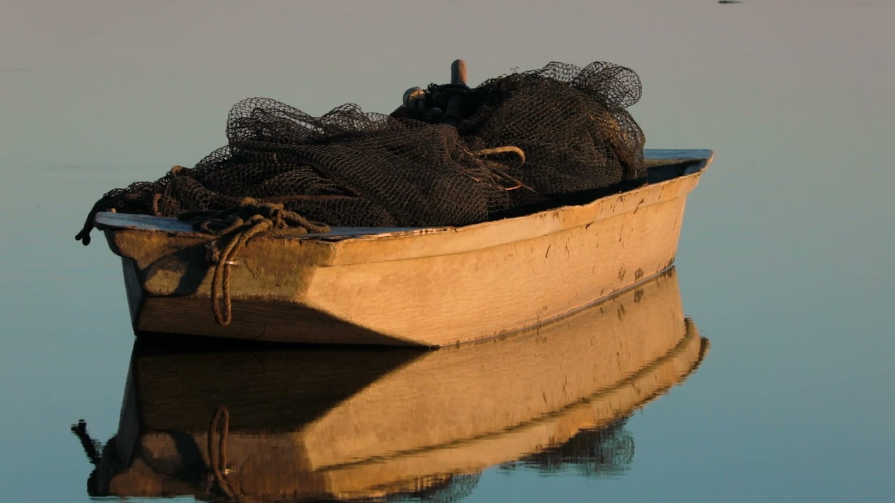 A magyar haltermelés értékei