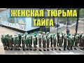 ЗАКЛЮЧЕННЫЙ ПОБЕГ из ТЮРЬМЫ в ТАЙГЕ ЭТАП ЗЕКИ ЗОНА СУДЬБА ЧЕЛОВЕКА ЗАКЛЮЧЕННЫЕ  ТЮРЬМА ОСУЖДЕННЫЕ