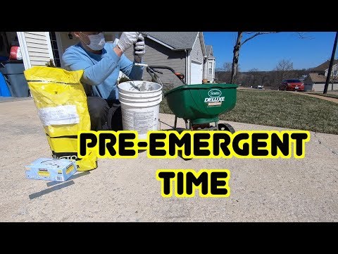 How to Apply a Granular Pre-Emergent For Beginners