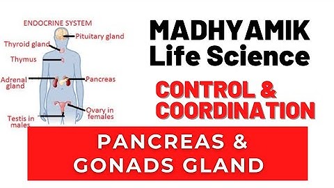 Madhyamik Life Science Chapter 1 Control and Coordination in living organisms  By Ramadan Tutorial