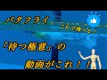 #12 バタフライ 「待つ極意」の動画がこれ！