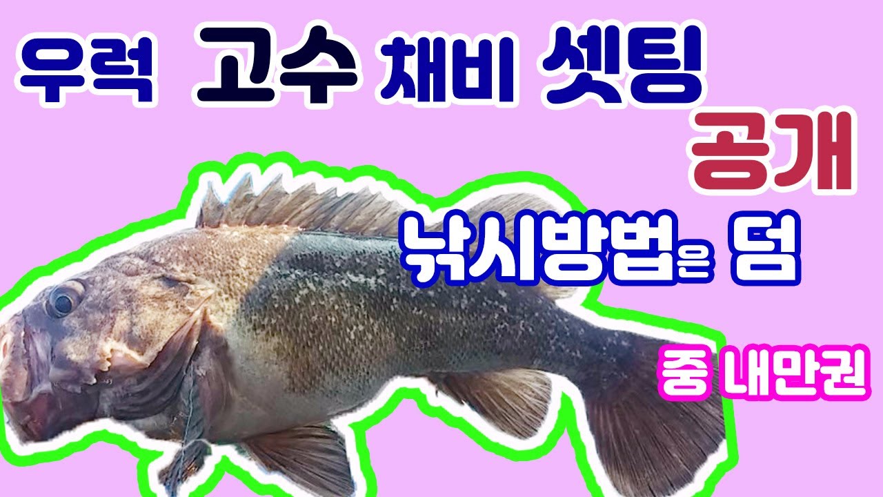 우럭 고수 채비와 낚시 방법은? ( 편대?  2단채비? 덜 뜯김, 낚시대 선택, 릴의 드랙 조정)