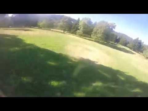 Right into the Tree.... again!