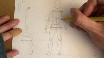 Human Proportions Part 3