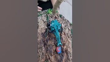 AMAZING!!! ROBOT BEETLE VS GOD BEETLE!🥵🥵😍😍 #shorts