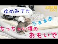 【保護猫】知られざる名(迷？)作を寝言で解説する子猫～おまけ：新しいお部屋へお引越し～【生後41日】Sleeping kitten "About Unknown masterpiece''
