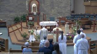 Holy Mass – May 17, 2026