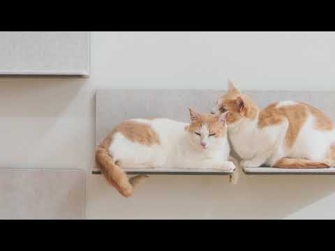 LIXIL】キャットウォール「猫壁（にゃんぺき）」 コンセプト